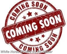 New 2019 Jayco Redhawk SE 22A Corner Queen w/U-Dinette Slideout available in Williamstown, New Jersey