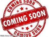 2020 Forest River Cherokee 294RR