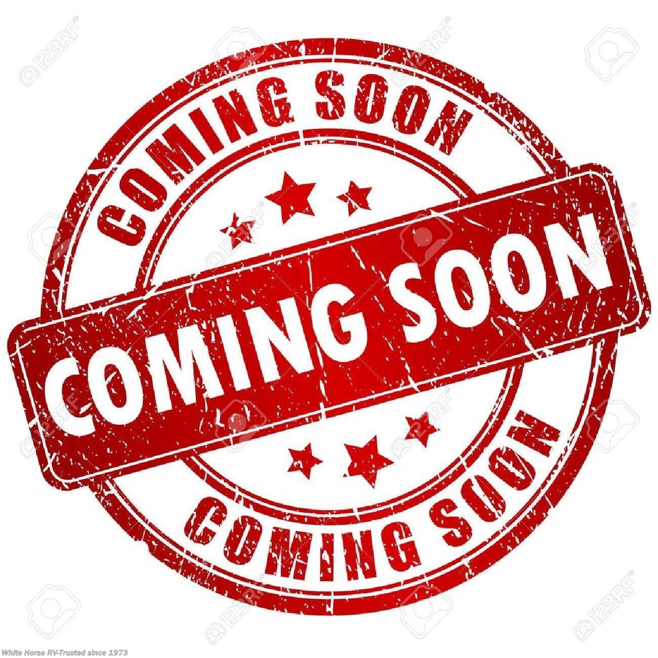 2020 Forest River Cherokee 294RR